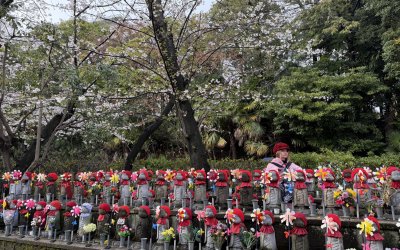 Japonya Yaşam Turu (Butik)