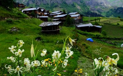 ApiTur - Kars Ardahan Artvin