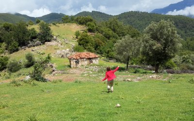 Finike Portakal Çiçeği-Likya