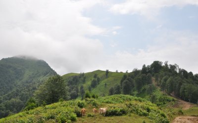 Altıparmak Laz Yaylaları