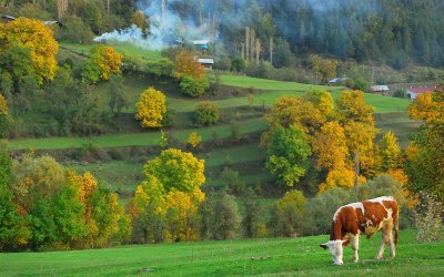 Artvin ve Şavşat'ta Sonbahar