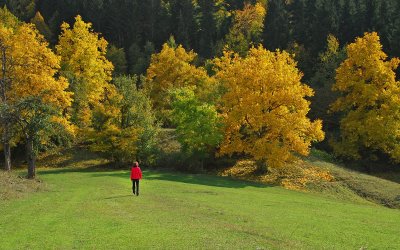 Artvin ve Şavşat'ta Sonbahar