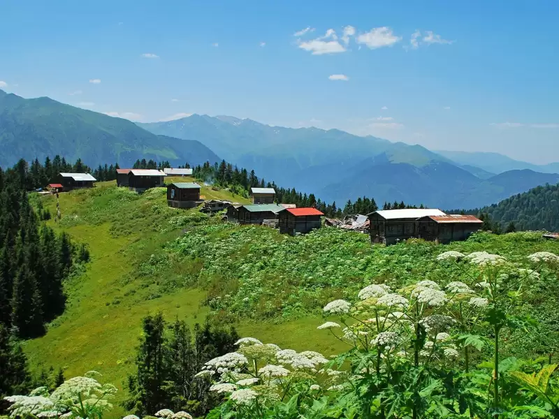 Bayramda Butik Doğu Karadeniz Turu