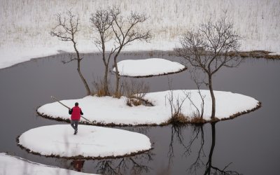 Bingöl'de Kış Foto Safari