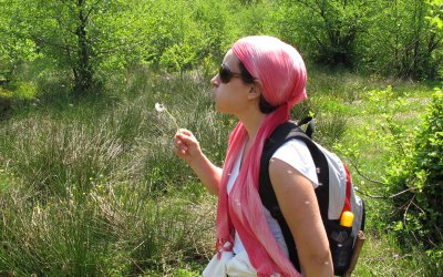 Erikli Yaylası Treking Turu