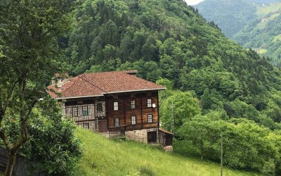 Hemşin Yaylaları Özel Tur