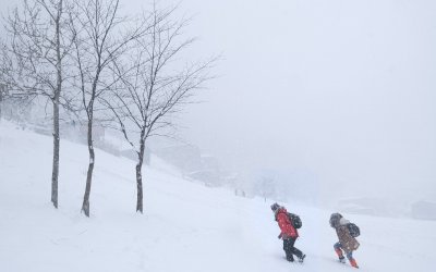 Kaçkarlar'da Kış Foto Safari