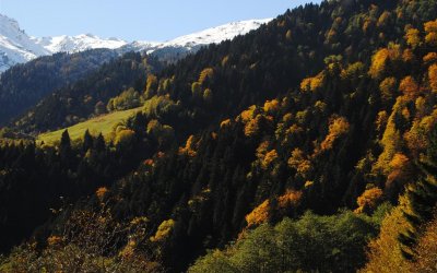 Kaçkar Eteklerinde Sonbahar