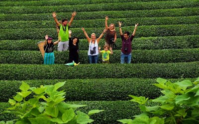 Karadeniz'de Deneyim Turu