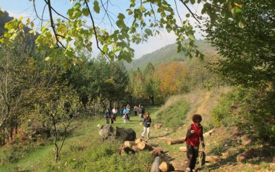 Kestane Toplama Turu