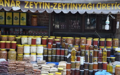 Kuzey Ege Kazdağları Yolculuğu