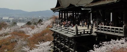 Japonya Yaşam Turu (Butik)