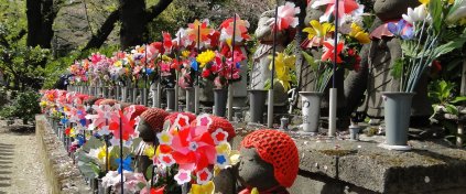 Japonya Yaşam Turu (Butik)