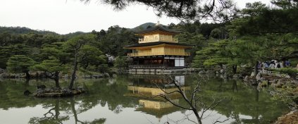 Japonya Yaşam Turu (Butik)