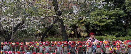 Japonya Yaşam Turu (Butik)