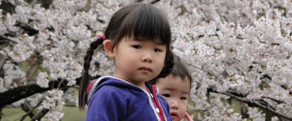 Japonya Yaşam Turu (Butik)