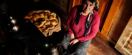 ApiTur - Kars Ardahan Artvin