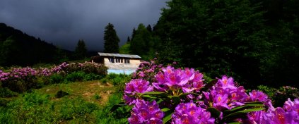 ApiTur - Kars Ardahan Artvin