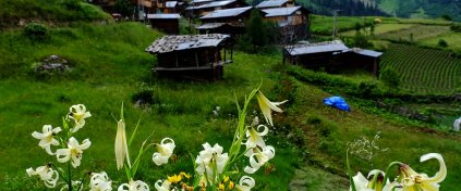 ApiTur - Kars Ardahan Artvin