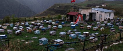 ApiTur - Kars Ardahan Artvin