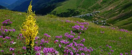 ApiTur - Kars Ardahan Artvin