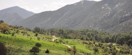 Finike Portakal Çiçeği ve Likya