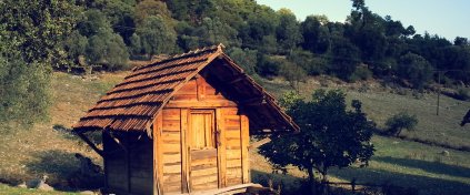 Finike Portakal Çiçeği ve Likya