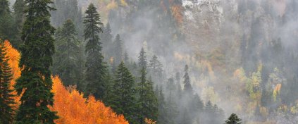 Şavşat'ta Sonbahar Foto Safari