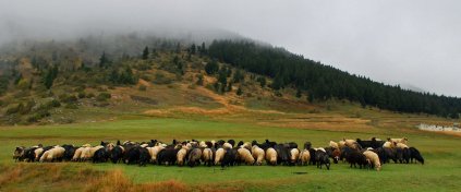 Artvin ve Şavşat'ta Sonbahar