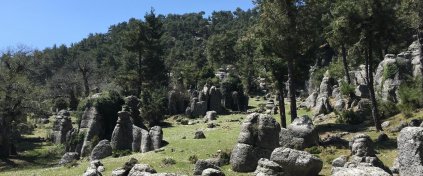 St. Paul Yürüyüşü Kısa Tur