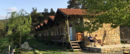 St. Paul Yürüyüşü Kısa Tur