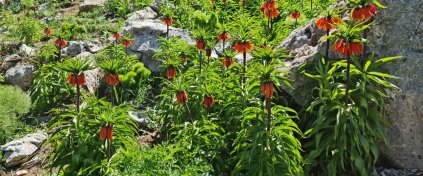Tunceli Trekking Turu
