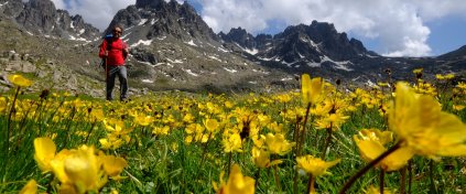 Kaçkar Yaylalarında Trekking