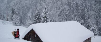 Kaçkarlar'da Kış Foto Safari