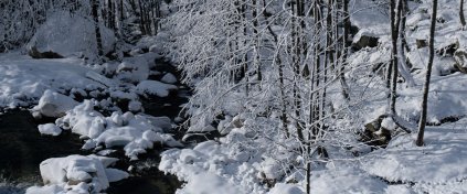 Kaçkarlar'da Kış Foto Safari