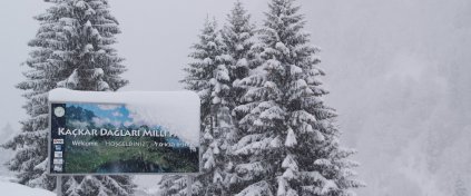 Kaçkarlar'da Kış Foto Safari