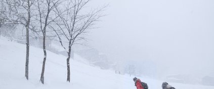 Kaçkarlar'da Kış Foto Safari