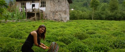 Karadeniz'de Deneyim Turu