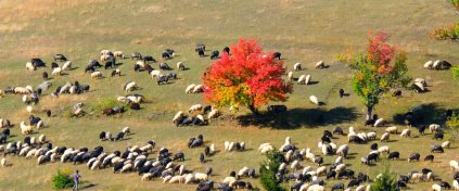 Şavşat'ta Sonbahar Foto Safari